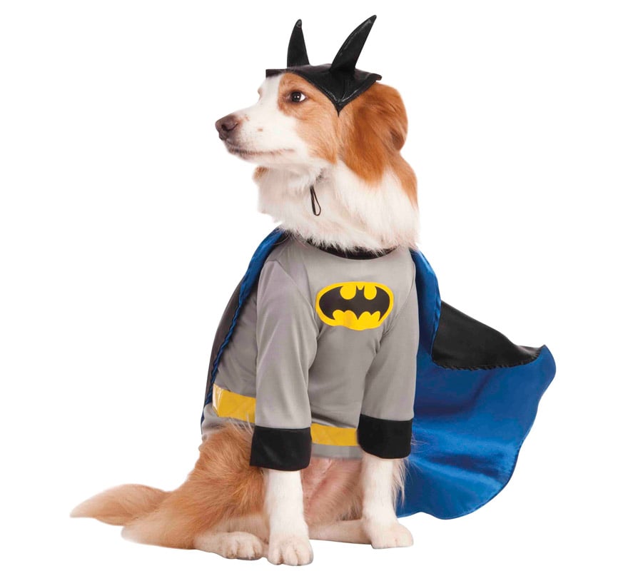 Disfraz Batman para perro