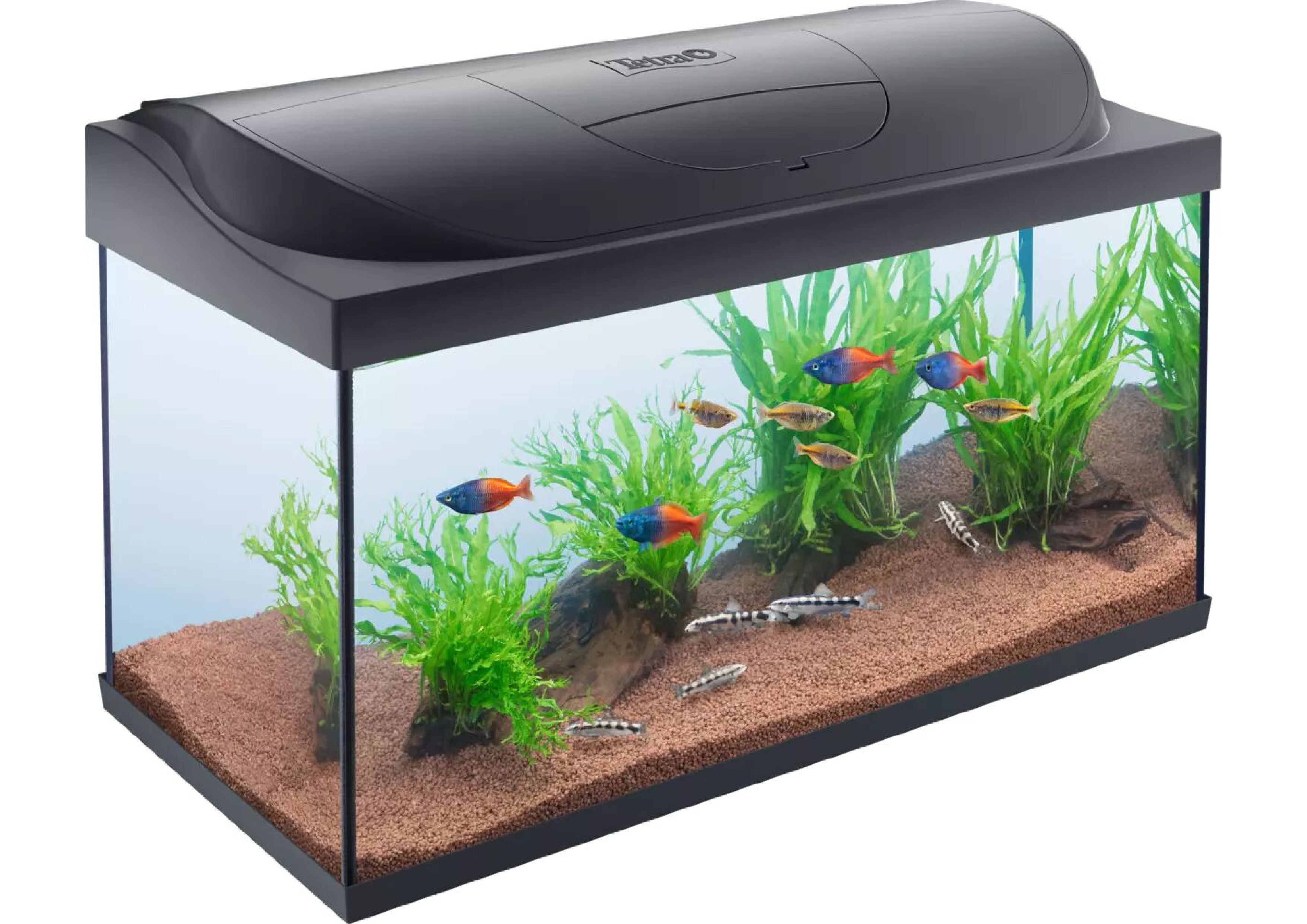 Kit Tetra Starter Line LED Diurna/Nocturna Acuario 105L