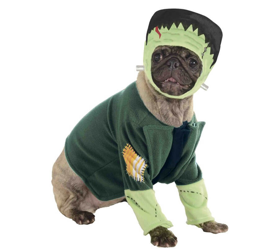 Disfraz Frankenstein para perro