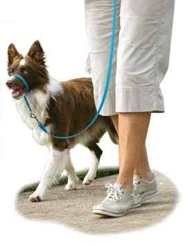 Easy walk ronzal de manejo para perros que tiran de la correa