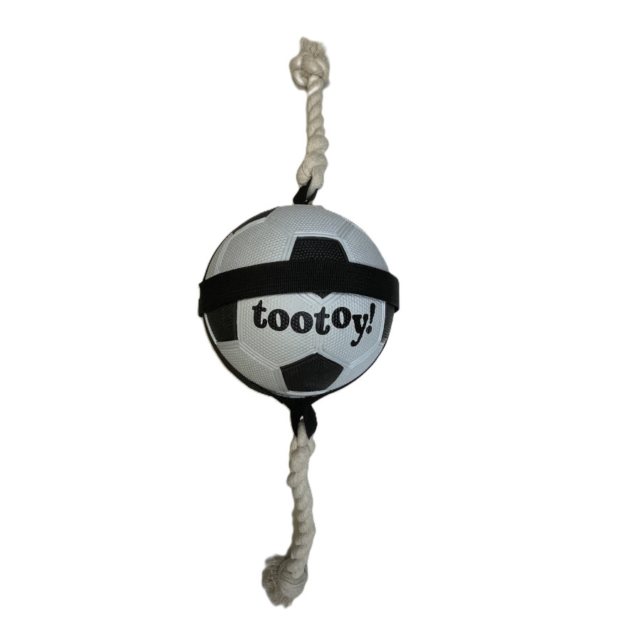 Tootoy! Chase Large Football pelota para perros