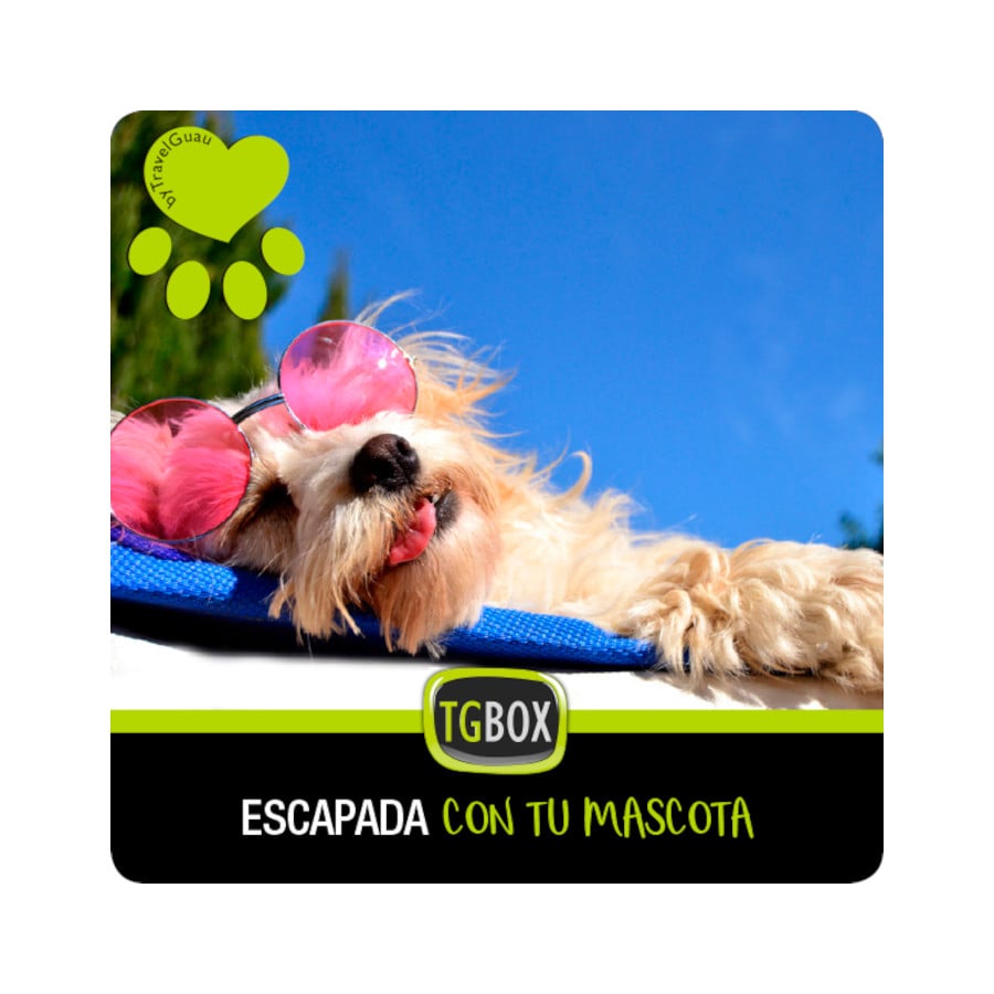 TGBOX Escapada con tu mascota